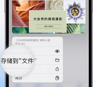 汉南apple维修中心分享iPhone文件应用中存储和找到下载文件