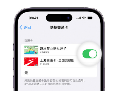 汉南apple维修点分享iPhone上更换Apple Pay快捷交通卡手绘卡面 