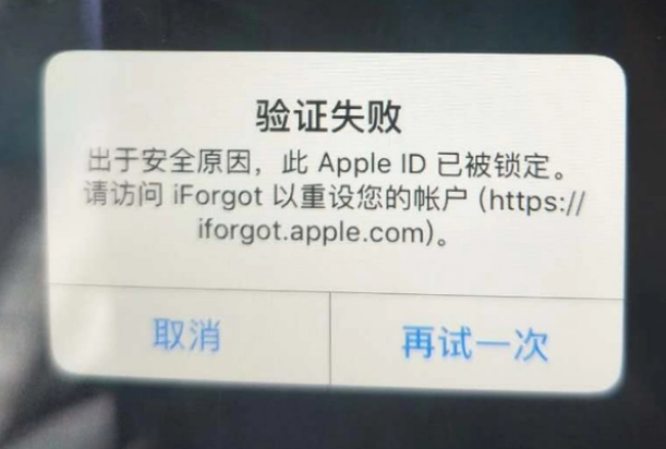 汉南iPhone维修分享iPhone上正常登录或使用AppleID怎么办 