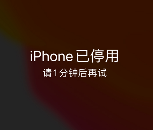 汉南苹果手机维修分享:iPhone 显示“不可用”或“已停用”怎么办？还能保留数据吗？ 