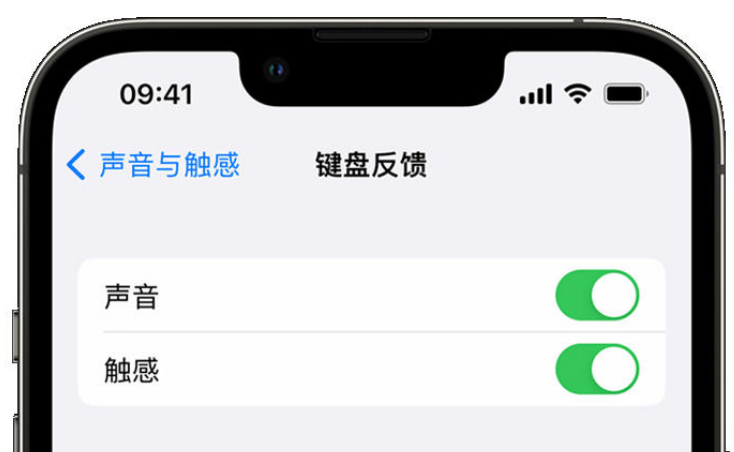 汉南苹果手机维修分享iPhone 14触感键盘使用方法 