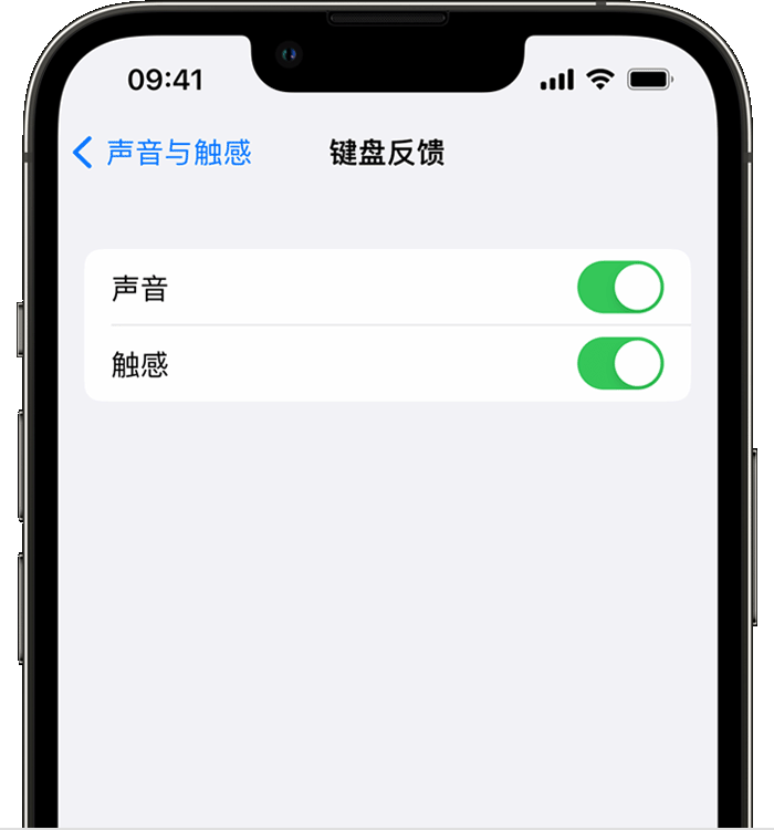 汉南苹果14维修店分享如何在 iPhone 14 机型中使用触感键盘 