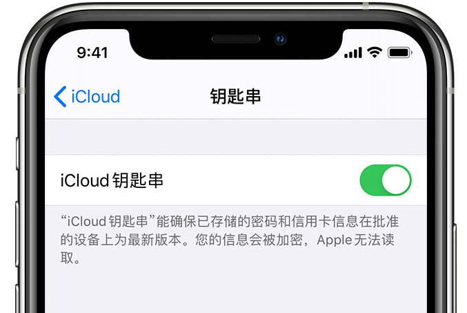 汉南苹果手机维修分享在 iPhone 上开启 iCloud 钥匙串之后会储存哪些信息 