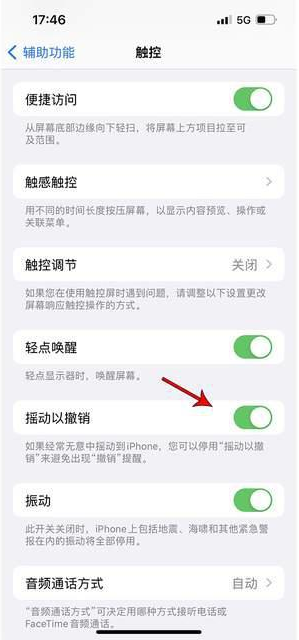 汉南苹果手机维修分享iPhone手机如何设置摇一摇删除文字 